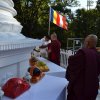 960.07 dsc_0203